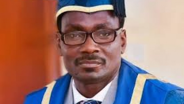 Ekanola emerges University of Ibadan Acting VC